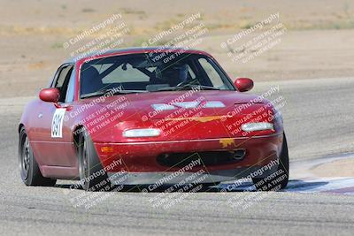media/Sep-17-2022-Speed Ventures (Sat) [[da673e2131]]/Black/Cotton Corners/